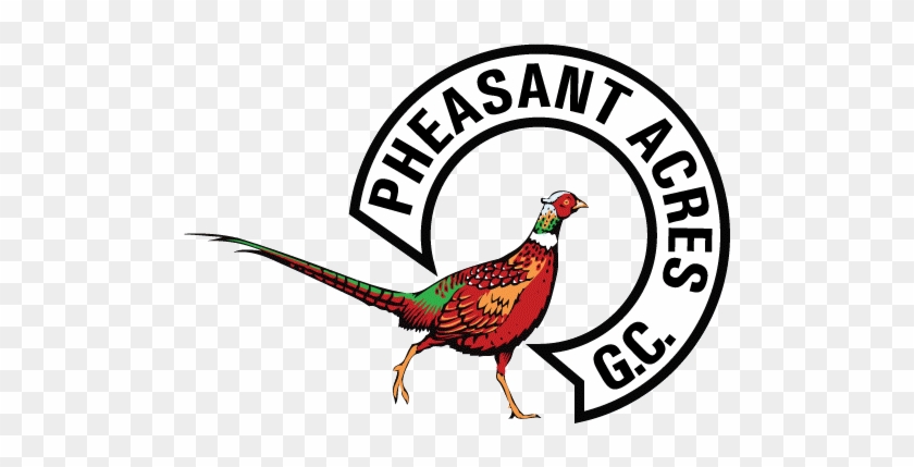 Pin Pheasants Clipart - Pheasant Acres Golf Course Rogers Mn #914164