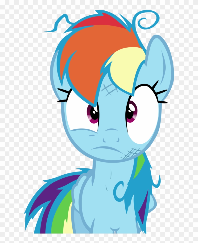 We Got The Wrong Pony Vector By Darkfear 10 - My Little Pony Rainbow Dash Crazy #914249