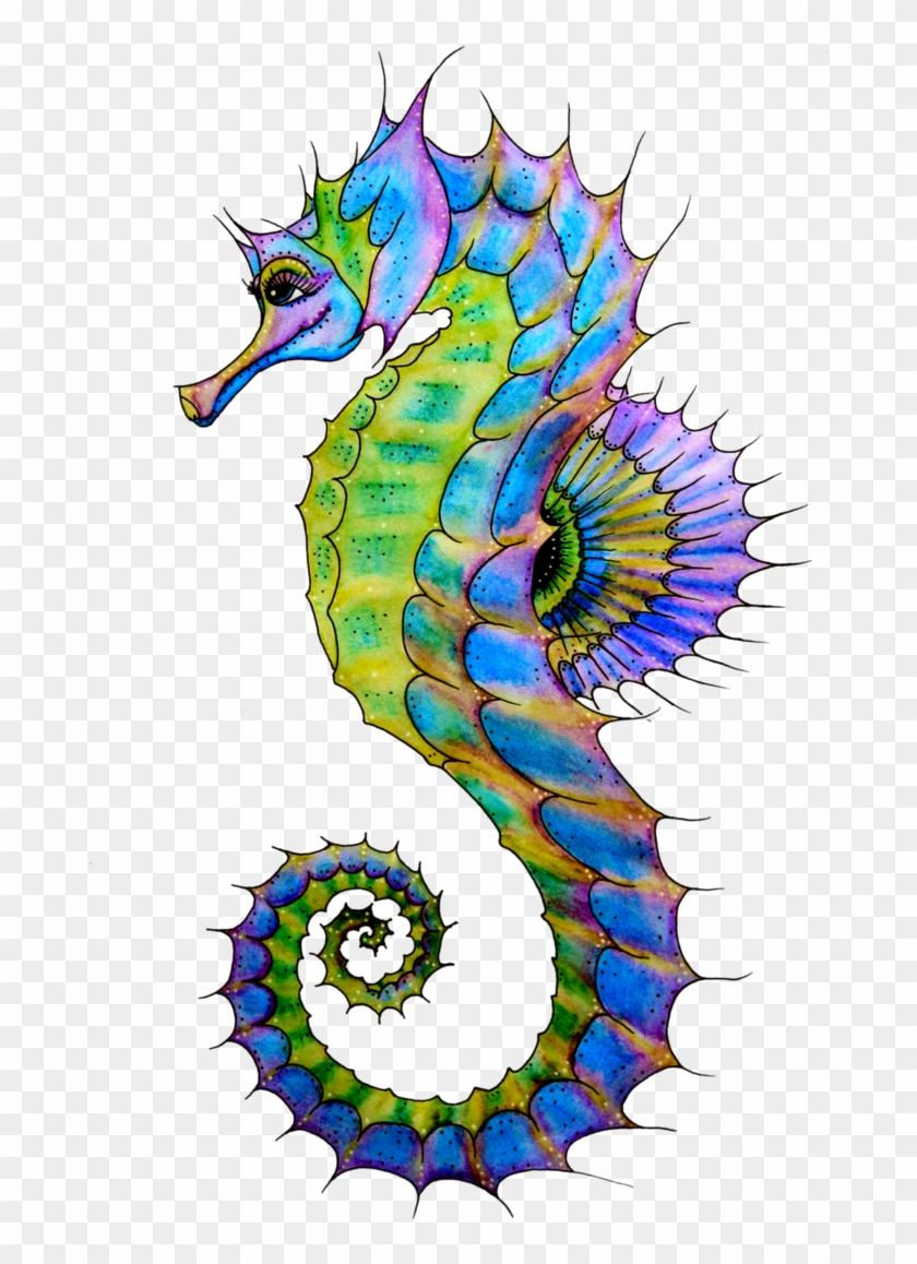 Seahorse In Png Image - Seahorse Drawing Colorful #915213