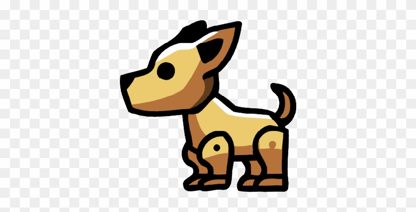 Chihuahua - Chihuahua #915496