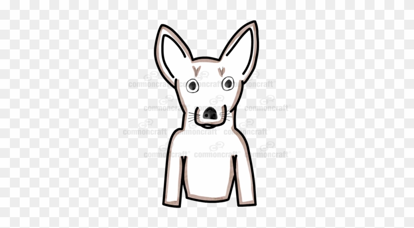 Dog Chihuahua Small - Toy Fox Terrier #915578