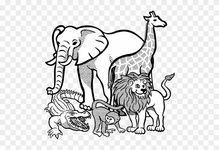 Outline Drawing Of African Animals Public Domain Vectors - Wild Animals Coloring Page #915669