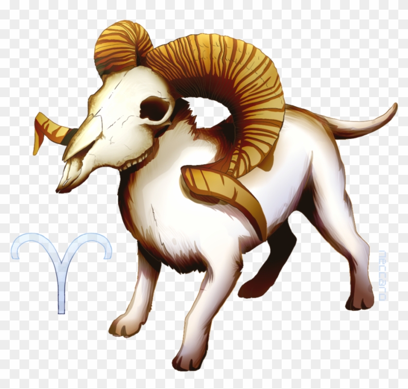 Ram Doge [aries] By Neccaro - Bighorn #915869