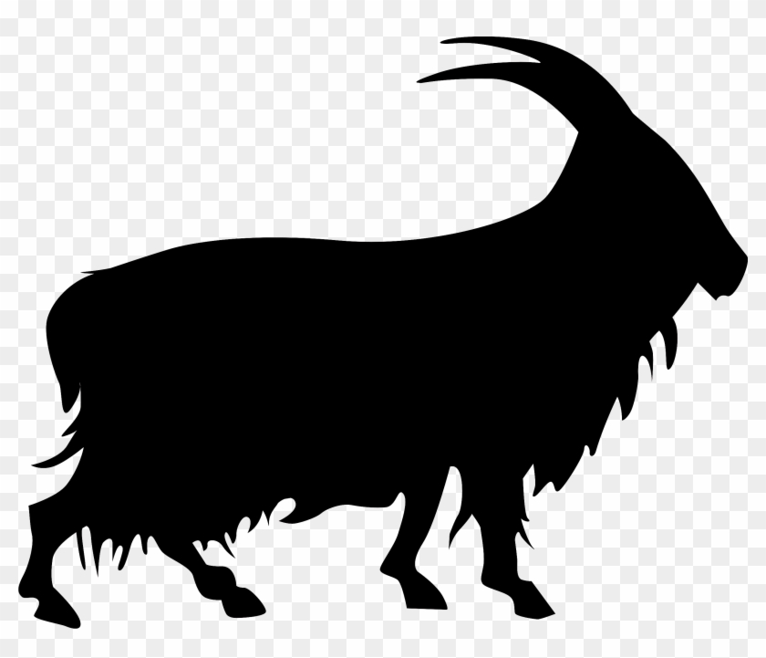 The Cashmir Goat - Bull #915872