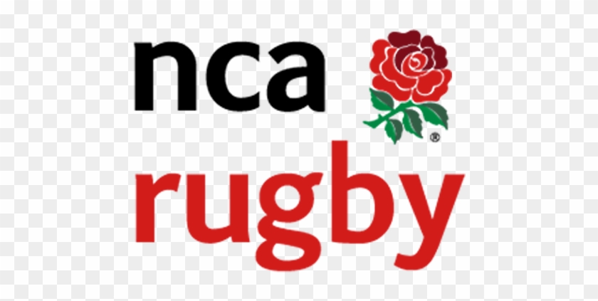 England Rugby Rose #916511