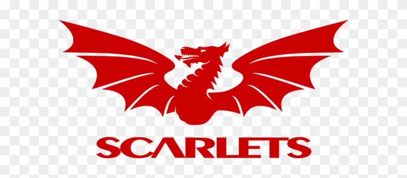 Away - Scarlets Vs La Rochelle #916517