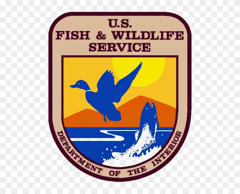 As Part Of The Native Fish In The Classroom Program, - Us Fish And Wildlife Service #917509