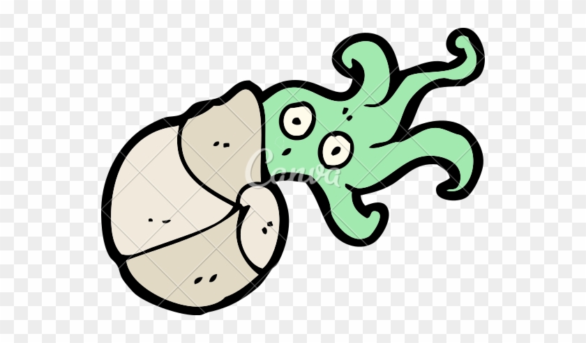 Squid Character - Nautilidae #918036