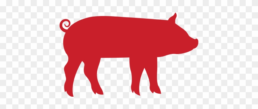 Pig - Antibiotic Use In Livestock #918130
