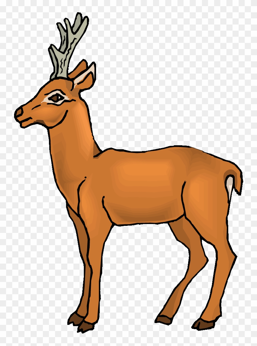 Free Deer Clipart Ue0q0c Clipart - Deer Clipart Gif #918495