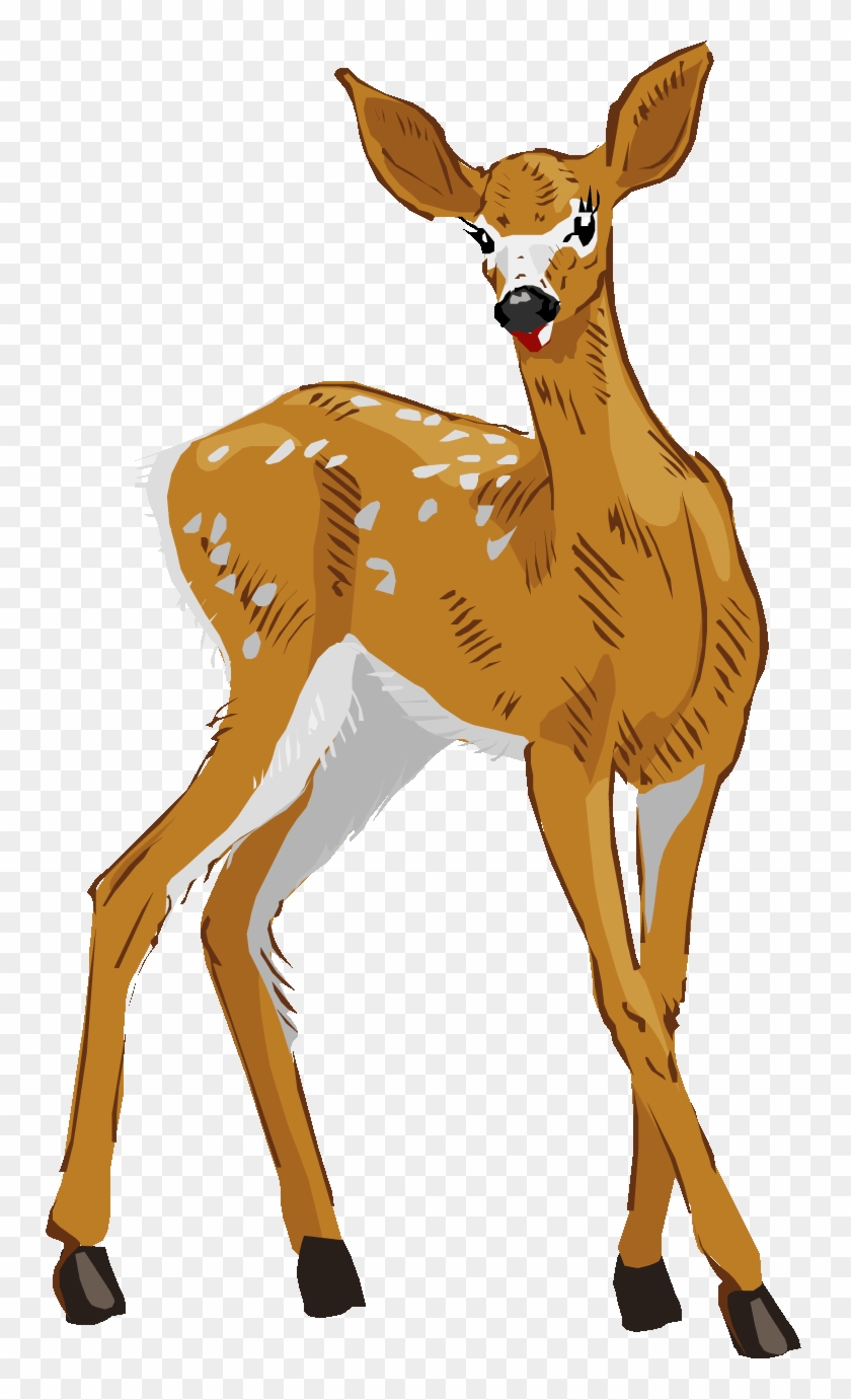 Whitetail Deer Jumping Clipart Clipart Kid - Clip Art #918504