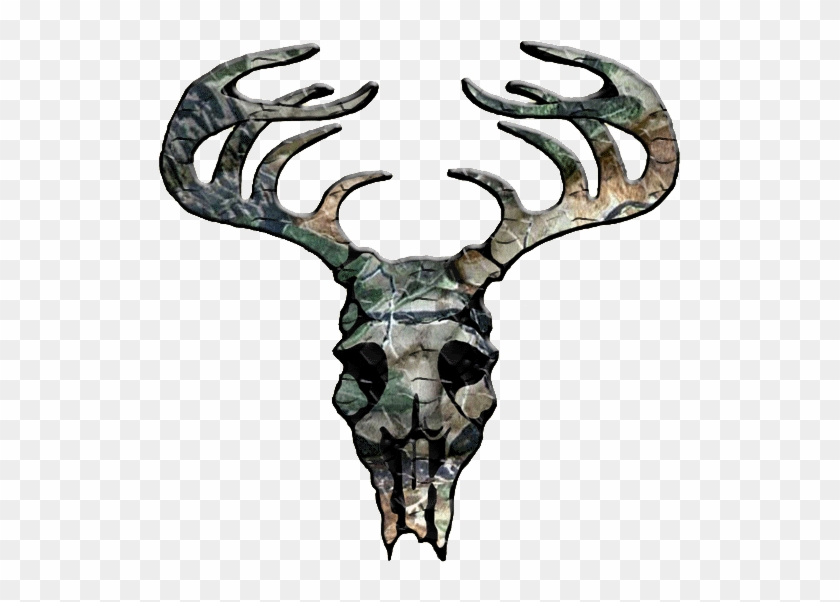 Free White Tailed Deer Clipart - Camo Deer Skull Tattoo #918551