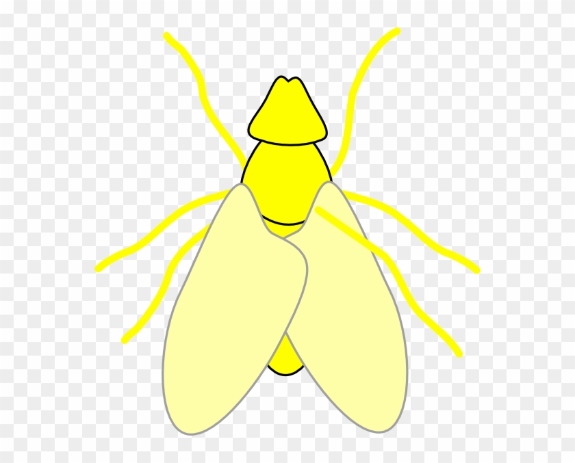 Lightning Bug Clipart - Clip Art #918733