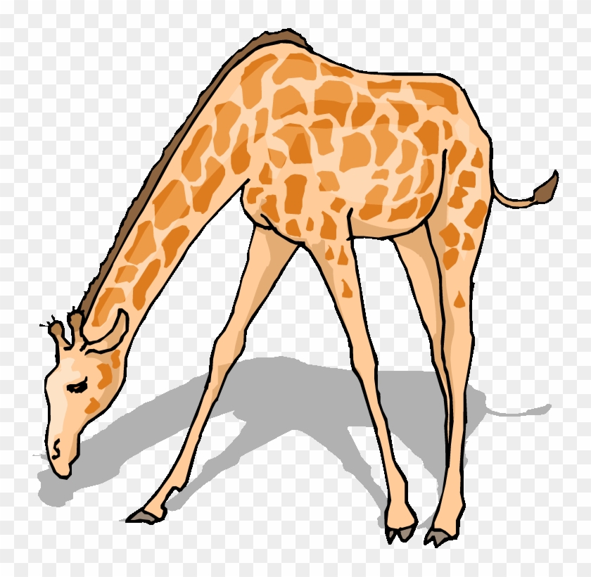 Free Giraffe Clipart - Animal Clipart #918800