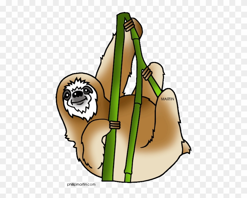 Rainforest Animals Clipart - Amazon Rainforest Clip Art - Free Transparent PNG Clipart Images Download Rainforest Animals Clipart - Amazon Rainforest Clip Art - Free Transparent PNG Clipart Images Download
