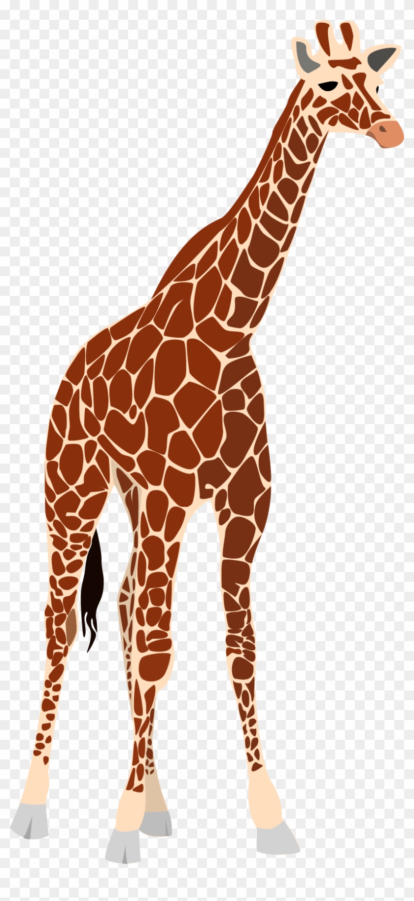 Vector Clipart Giraffe - Giraffe Free Vector #918838