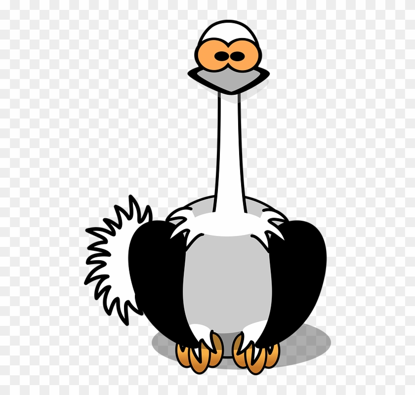 Safari Animal Clipart 28, Buy Clip Art - Cartoon Ostrich #918846