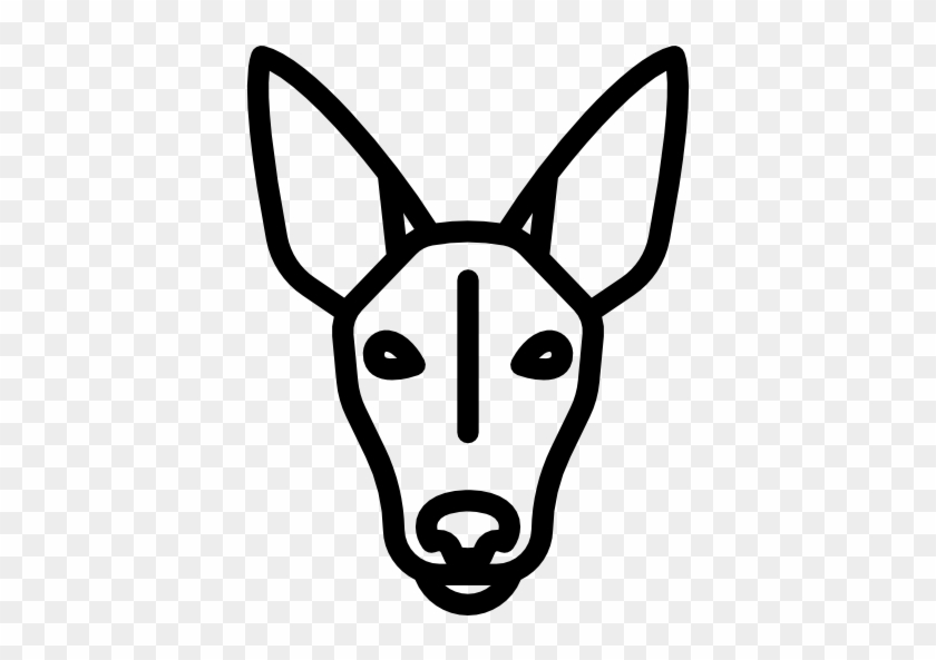 Pharaoh Hound Free Icon - Icono Podenco #918931