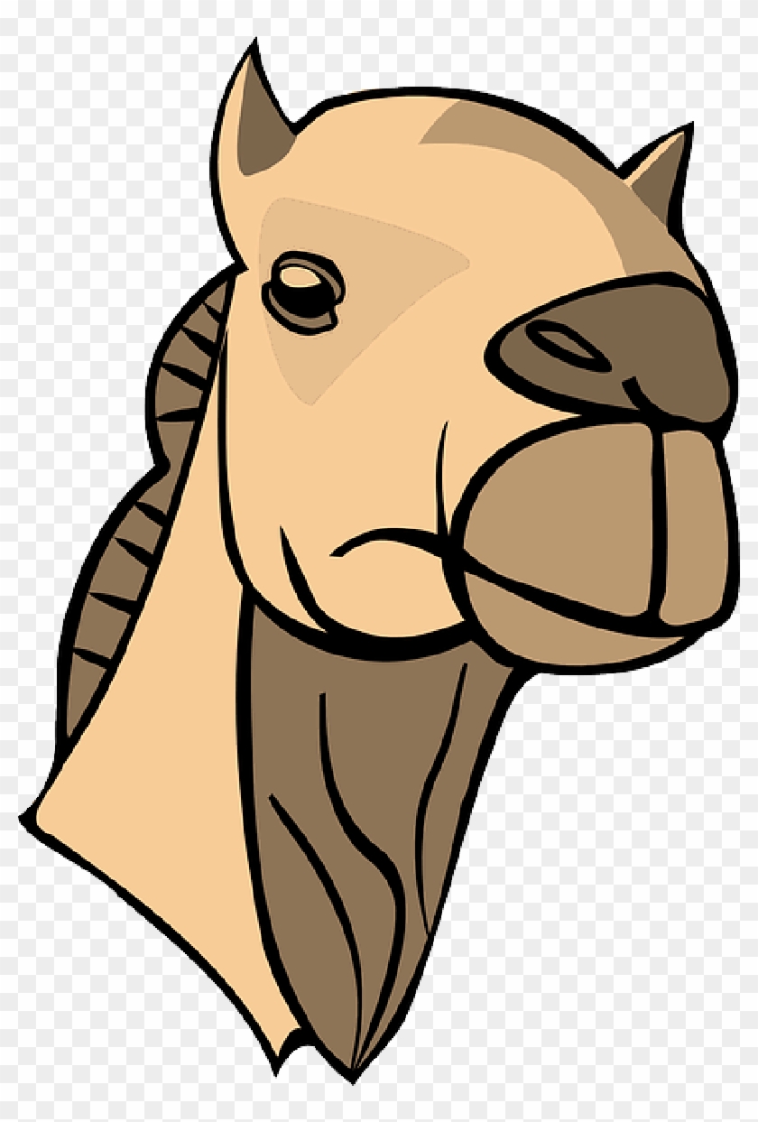 camels in desert clipart