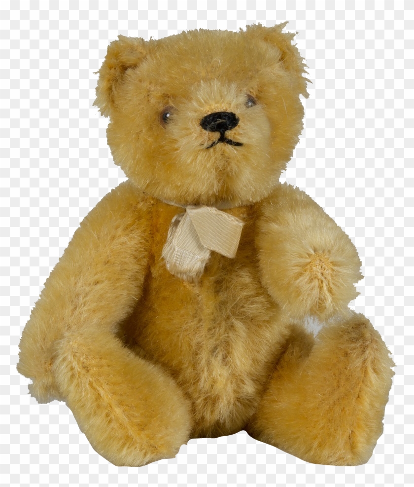 transparent cover for teddy bear