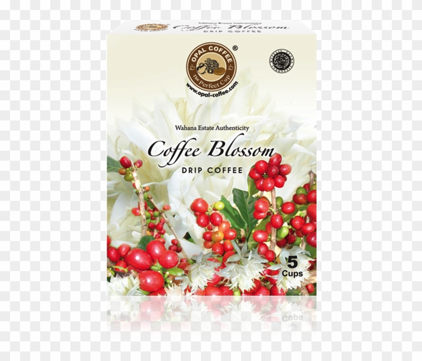 Wahana Coffee Blossom Drip Coffee - Coffee #919261
