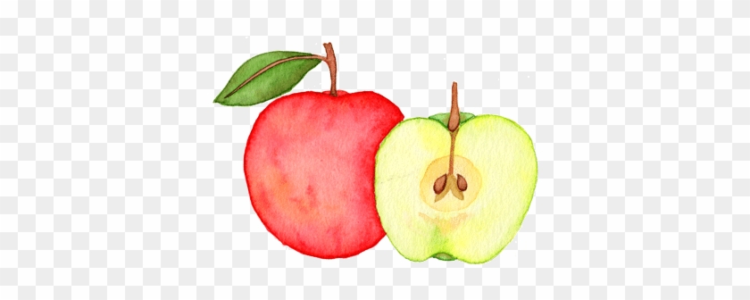 Apple - Apple #919447