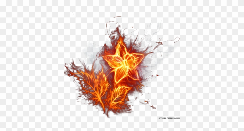 Fire Flower Psd - Transparent Fire Flower #919973