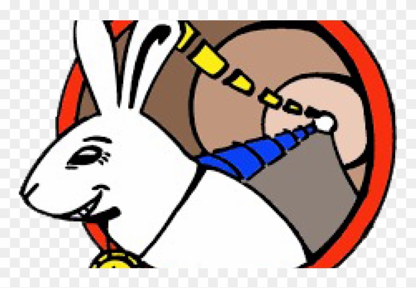 Read Full Story - White Rabbit Cern #920130