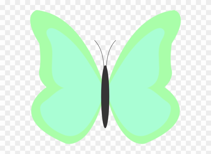 Butterfly #920337