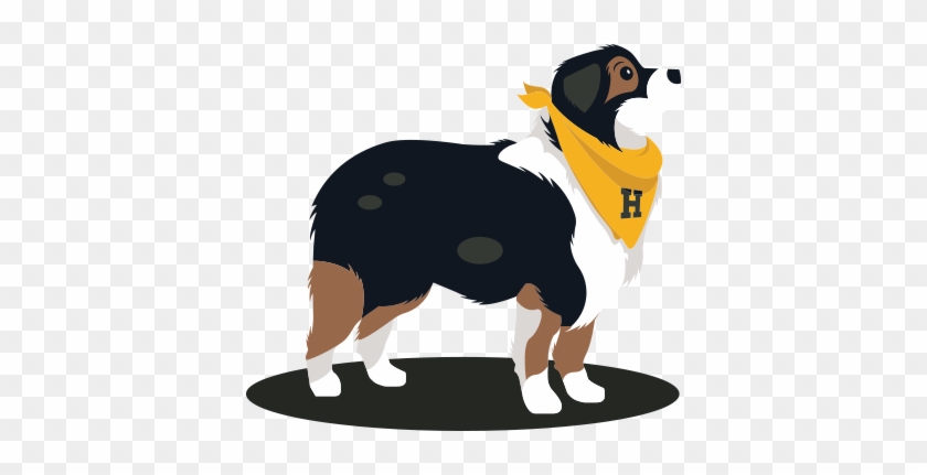 Orthopets Dog Brace - Dog Catches Something #920353