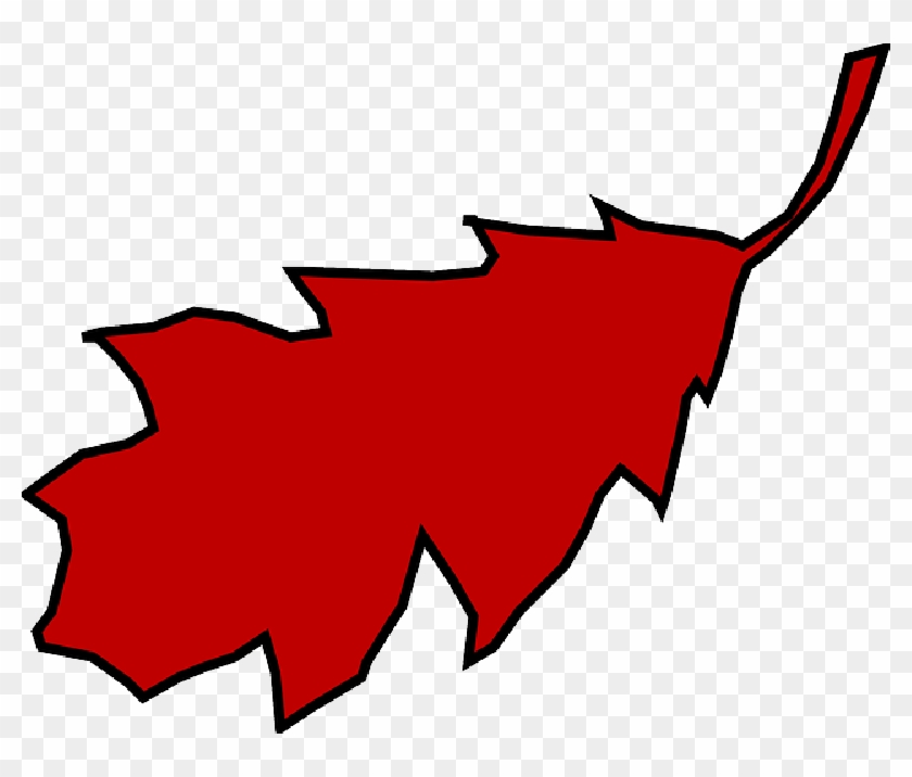 Fall, Outline, Leaf, Tree, Cartoon, Free, Plant - Red Oak Leaf Clipart #920434