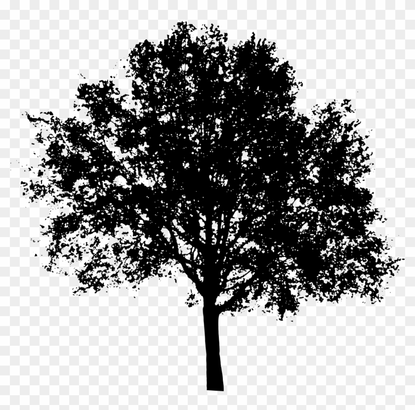 White Tree Silhouette Png - Tree Black And White Transparent #920607