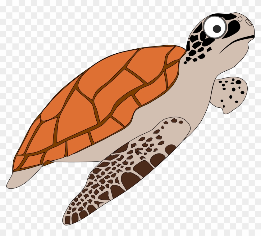Sea Turtles - Loggerhead Sea Turtle Clipart #920776