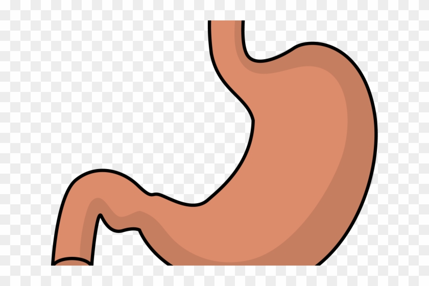Full Stomach Cliparts - Clip Art #920896