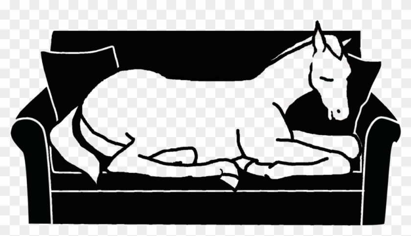 Image Navigation - Mane #920903