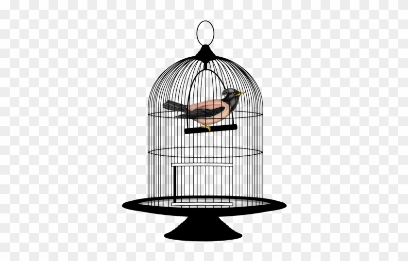 Free Png Cage Bird Png Images Transparent - Bird In Cage Png #921101