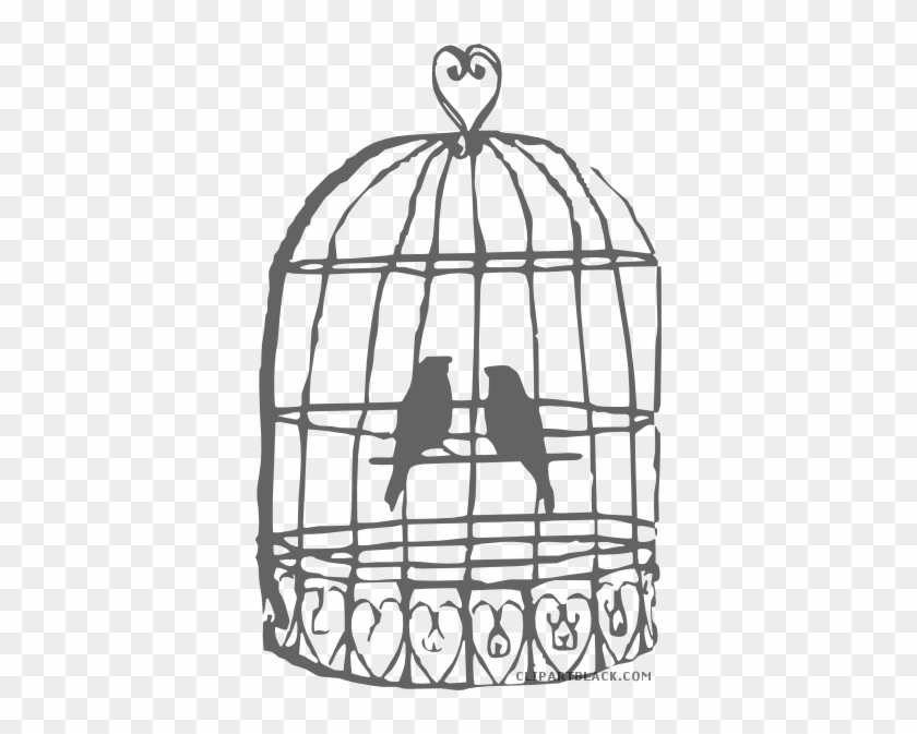 Birdcage Animal Free Black White Clipart Images Clipartblack - Bird In Cage Clipart #921108