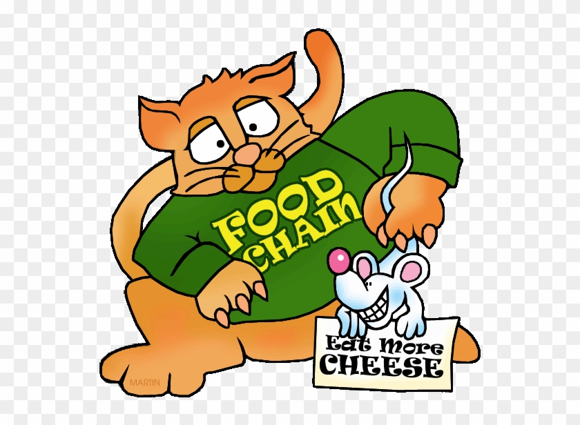 Food Chain With Cat And Mouse - Food Chain Clip Art #921160
