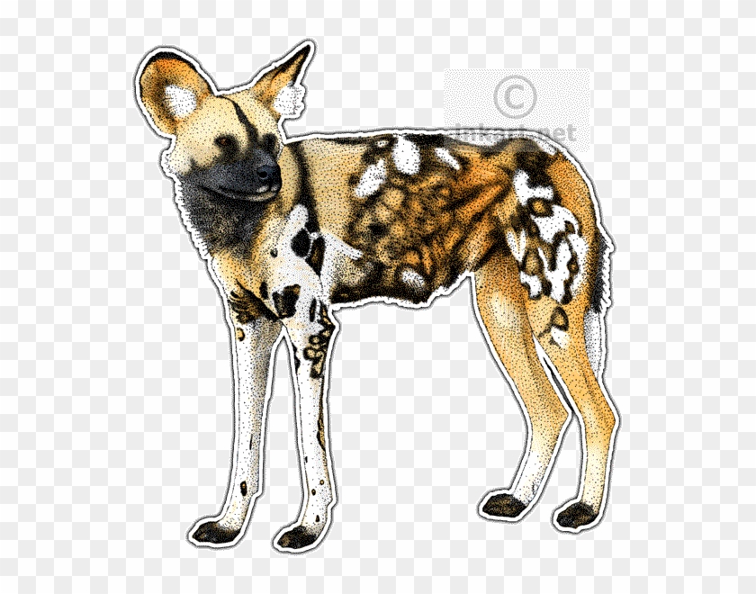 African Wild Dog Decal - African Wild Dog Mousepad #921168