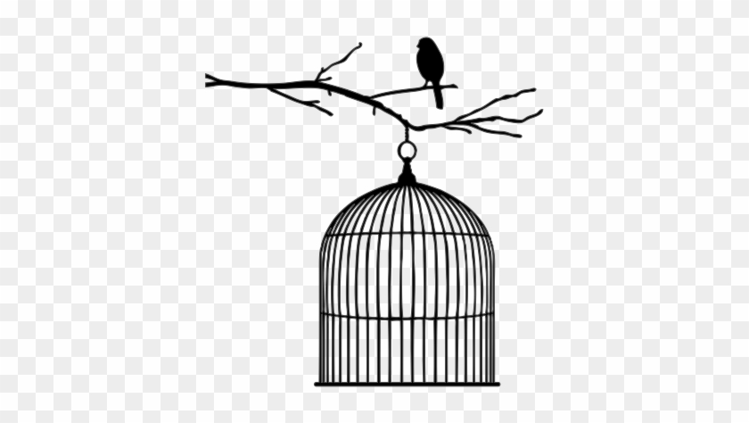 Healing - Bird In A Cage Silhouette #921256