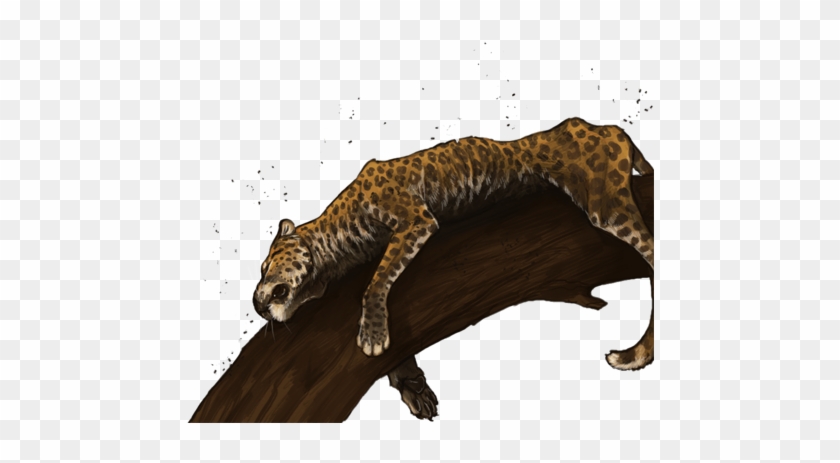 Deadleopardday - Jaguar #921283