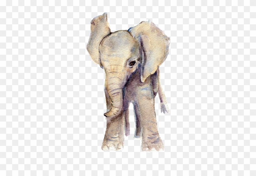 Tumblr Mp463ydipu1rgpyeqo1 500 500×625 Pixels - Baby Elephant Watercolor #921289
