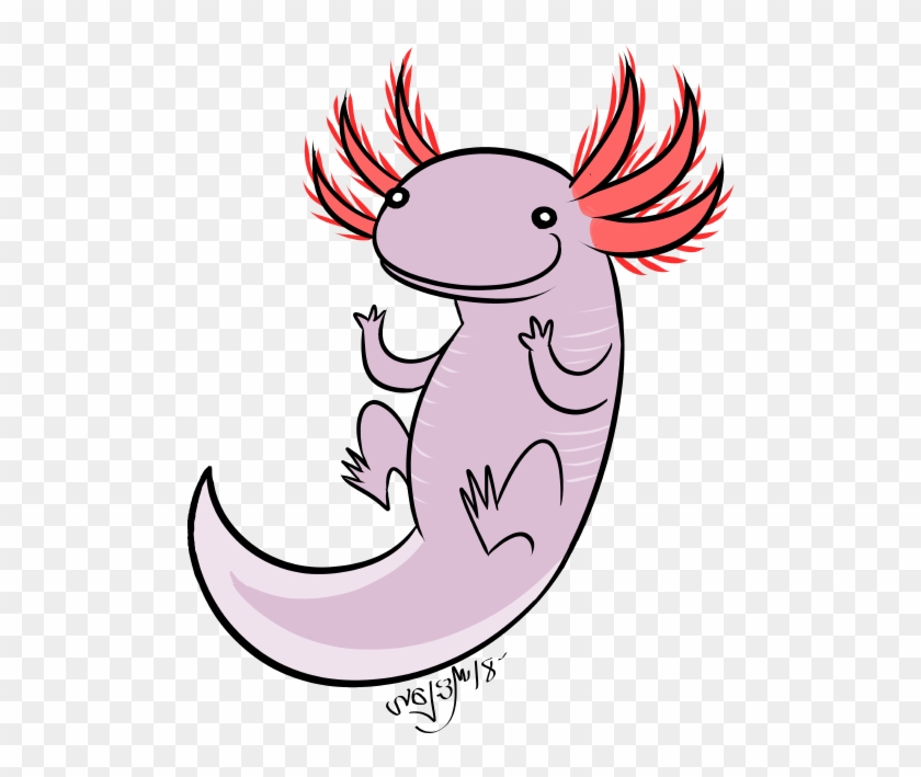 Axolotl Clipart Tumblr Transparent - Axolotl #921665