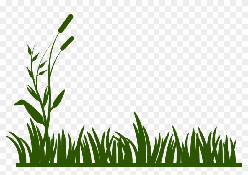 Swamp Clipart Spring - Rumput Vector #921891