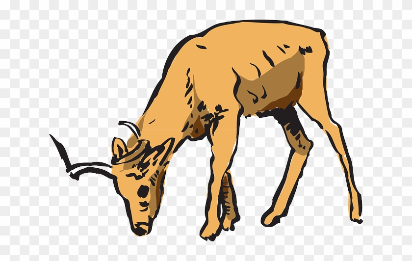 White Tailed Deer Clipart Hiran - Deer Eating Clipart #921899