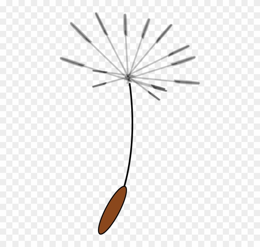 Dandelion Seed Clipart #921913