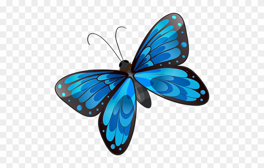 Blog De L'ile De Kahlan - Brush-footed Butterfly #921959