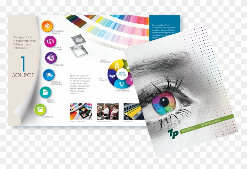 Tiger Press Brochure - Printing Press Brochure Design #921995