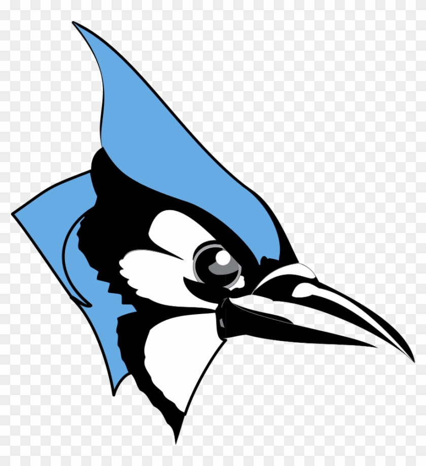 Common Majors - Johns Hopkins Blue Jay #922297