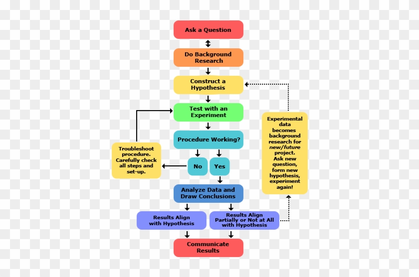 Steps Of The Scientific Method #922334